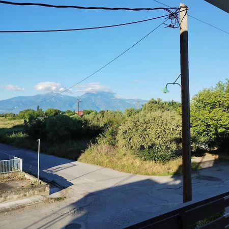 Villa Olympia Paralía Eksteriør billede