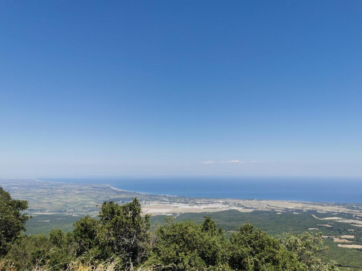 Villa Olympia Paralía Eksteriør billede